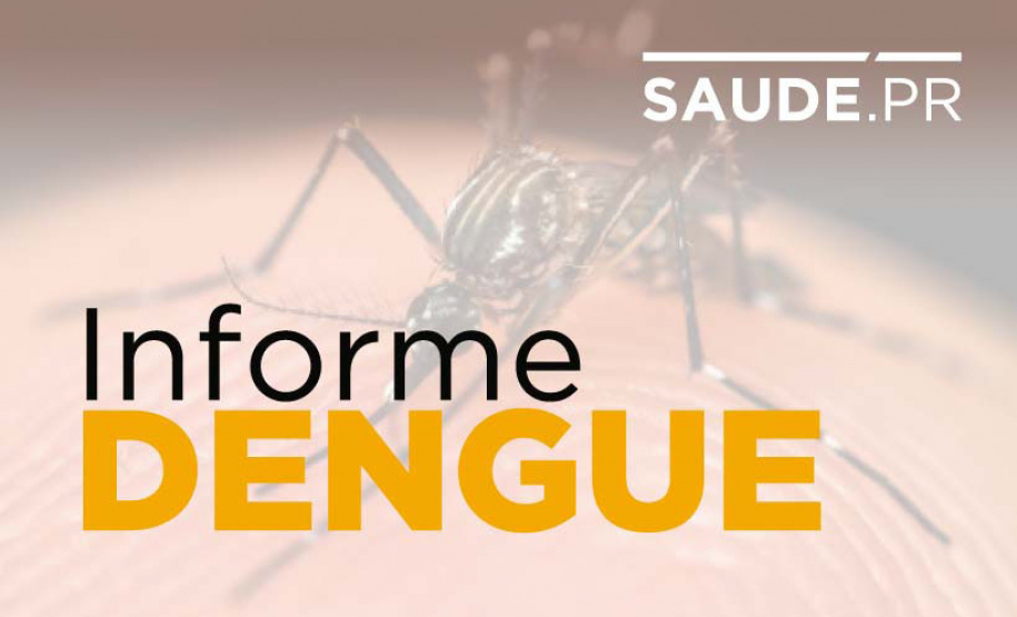 Paraná registra três novos óbitos provocados pela dengue