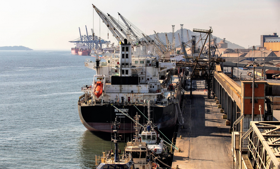 Com 29.081.691 toneladas de cargas movimentadas, os portos do Paraná alcançaram o melhor semestre da história. O volume de produtos importados e exportados entre janeiro e junho de 2021 é 3% maior que o registrado no mesmo período de 2020, quanto foram 28.177.335 toneladas. - Paranaguá, 08/07/2021 - Foto: Claudio Neves/Portos do Paraná