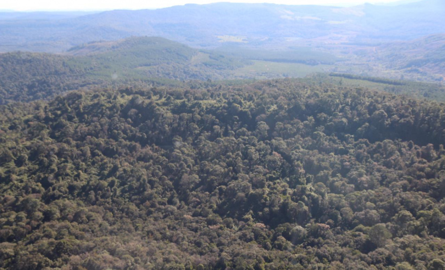 Ibama e Funai visitam os Campos Gerais para conhecer o traçado da Nova Ferroeste. Os técnicos sobrevoaram a Terra Indígena em Nova Laranjeiras.
Foto Alessandro Vieira