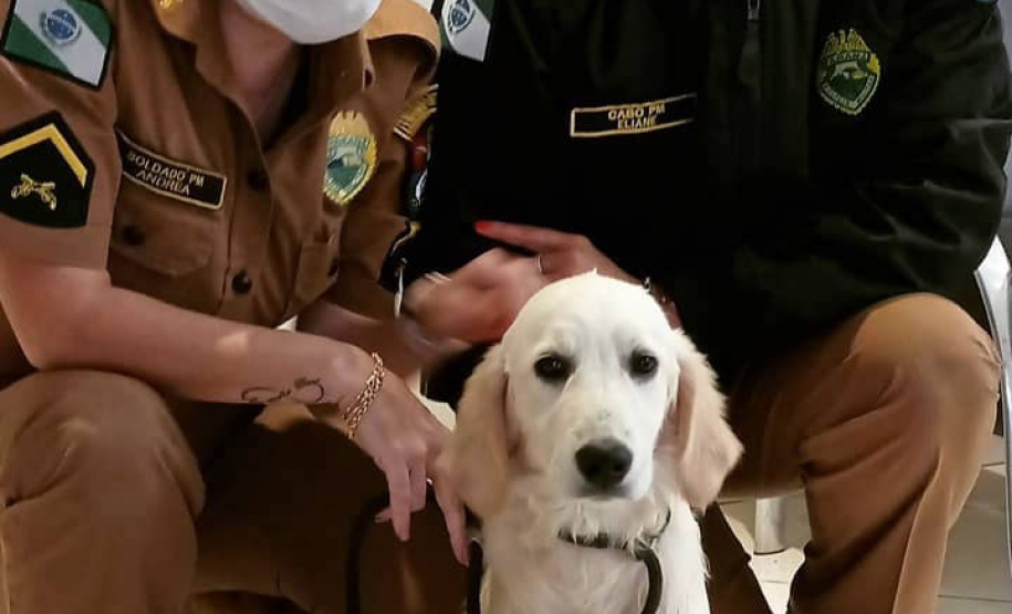 Cão da PM é aplicado para estimular interação de pacientes atendidos pelo PRUMOS em Londrina - Curitiba, 09/07/2021 - Foto: PMPR