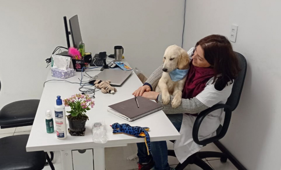 Cão da PM é aplicado para estimular interação de pacientes atendidos pelo PRUMOS em Londrina - Curitiba, 09/07/2021 - Foto: PMPR