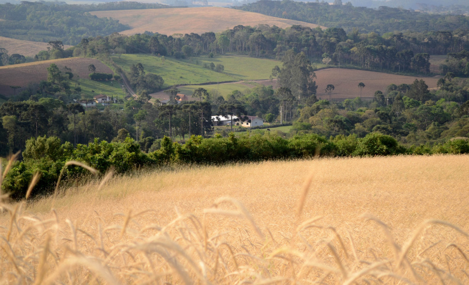 O avanço tecnológico do Paraná permite que o Estado seja um dos primeiros do Brasil a realizar a análise dinamizada do Cadastro Ambiental Rural (CAR). Em todo o país, os estados do Paraná e Amapá possuem mais estruturas para desenvolverem as atividades.  -  Curitiba, 09/07/2021  -  Foto: Sedest/IAT