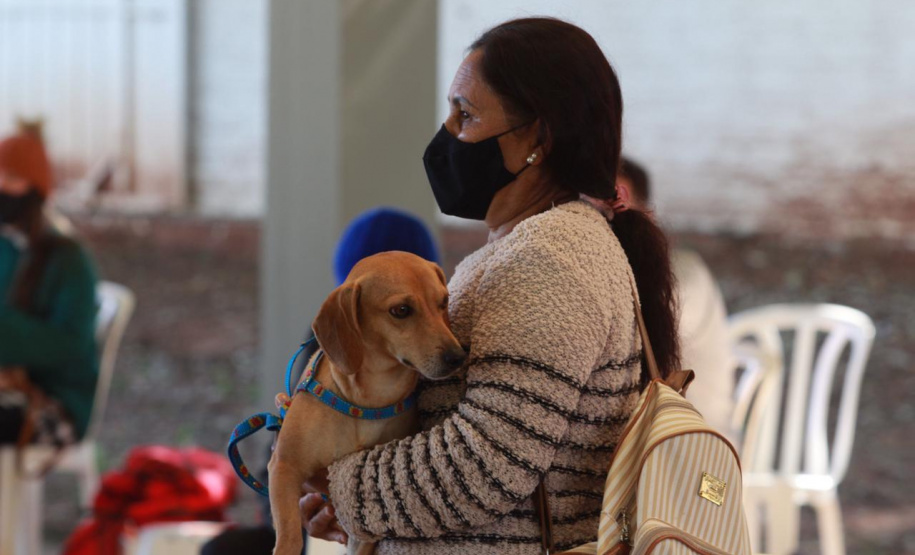 O Programa Permanente de Esterilização de Cães e Gatos (CastraPet), iniciativa da Secretaria estadual do Desenvolvimento Sustentável e do Turismo (Sedest), estará em Formosa do Oeste nesta semana com a castração de 115 cães e gatos no município. A ação ocorre segunda-feira (12) e terça-feira (13).  -  Foto: Alessandro Vieira/Arquivo AEN
