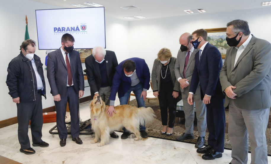 Por intermédio do Estado, TCE destina R$ 18 milhões para apoiar vacina da UFPR
Foto: Jonathan Campos/AEN