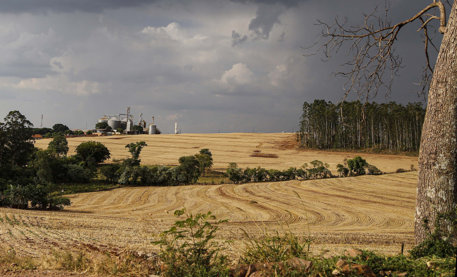 Unioeste prorroga até domingo (18) prazo de inscrição para
residência técnica e curso de Economia Rural - Foto: Jonathan Campos/AEN