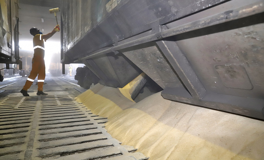 A quantidade de vagões e o volume de cargas movimentadas via ferrovia com origem ou destino ao Porto de Paranaguá aumentaram no primeiro semestre.
Foto: Claudio Neves/Portos do Paraná