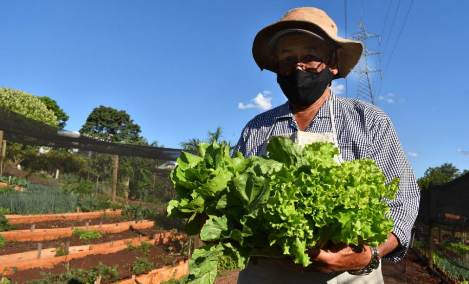 O Programa Cultivar Energia, da Copel, já acumula 7 hortas comunitárias espalhadas pelo Paraná, com previsão de implantar mais 5 ainda este ano. Pelo menos 270 famílias são diretamente beneficiadas pela iniciativa, que consiste na implantação de hortas comunitárias sob linhas de alta, média e baixa tensão da Companhia, permitindo um uso seguro e nobre dessas áreas. - Curitiba, 13/07/2021 - Foto: Copel