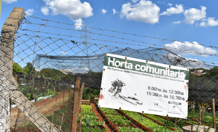 O Programa Cultivar Energia, da Copel, já acumula 7 hortas comunitárias espalhadas pelo Paraná, com previsão de implantar mais 5 ainda este ano. Pelo menos 270 famílias são diretamente beneficiadas pela iniciativa, que consiste na implantação de hortas comunitárias sob linhas de alta, média e baixa tensão da Companhia, permitindo um uso seguro e nobre dessas áreas. - Curitiba, 13/07/2021 - Foto: Copel