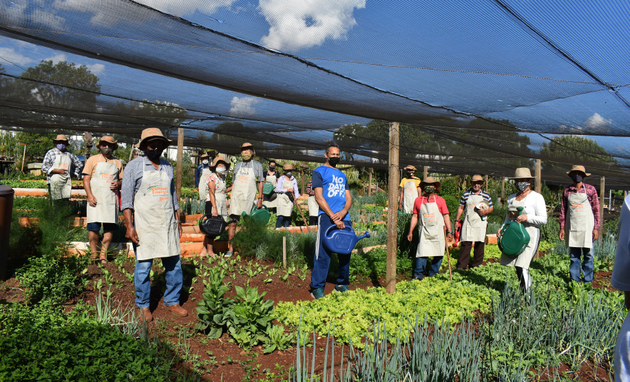 O Programa Cultivar Energia, da Copel, já acumula 7 hortas comunitárias espalhadas pelo Paraná, com previsão de implantar mais 5 ainda este ano. Pelo menos 270 famílias são diretamente beneficiadas pela iniciativa, que consiste na implantação de hortas comunitárias sob linhas de alta, média e baixa tensão da Companhia, permitindo um uso seguro e nobre dessas áreas. - Curitiba, 13/07/2021 - Foto: Copel