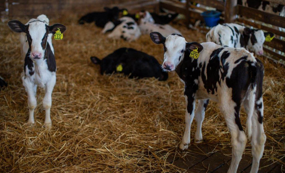 Com resultado de 15% a mais no Plano Safra, BRDE apresenta nova meta para 21/22  -  Curitiba, 14/07/2021  -  Foto: Rodolfo Bührer