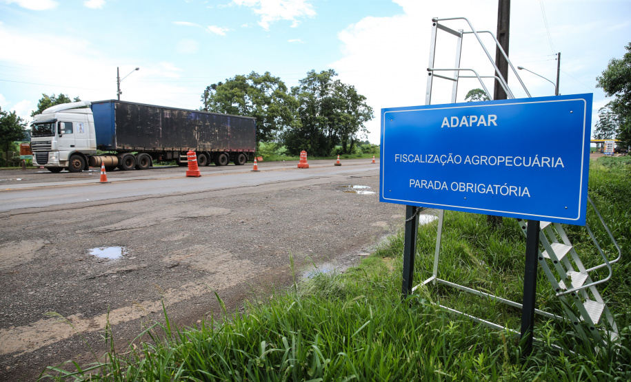 Adapar A previsão é contratar 30 médicos veterinários e 50 técnicos
agropecuários. Data estava adiada em razão da pandemia do
novo coronavírus
Foto: Geraldo Bubniak/AEN
