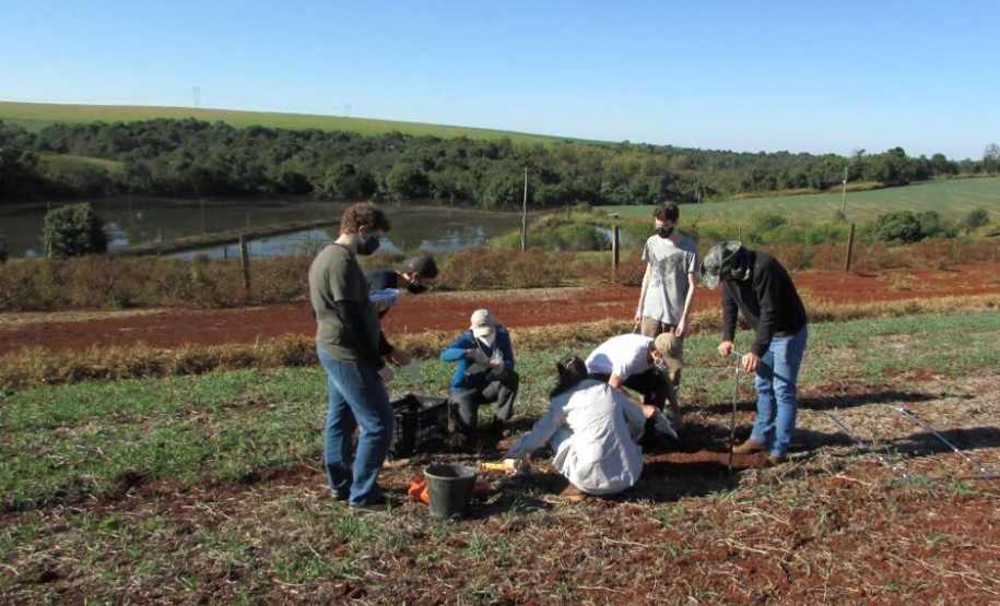 A Universidade Estadual do Oeste do Paraná (Unioeste) está participando de um grande projeto internacional que visa estimular o desenvolvimento sustentável em comunidades rurais. Trata-se do CATALYST, um trabalho com envolvimento de 13 instituições de ensino superior de todo o Mundo, como países da África Oriental, da Ásia e da Europa, com o objetivo de coletar dados e levar conscientização de base a comunidades rurais. - Curitiba, 15/07/2021 - Foto: UNIOESTE