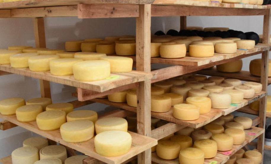 Queijo artesanal de Salgado Filho é o primeiro produto paranaense a receber o Selo Arte
Foto:  Júlio César Nesi