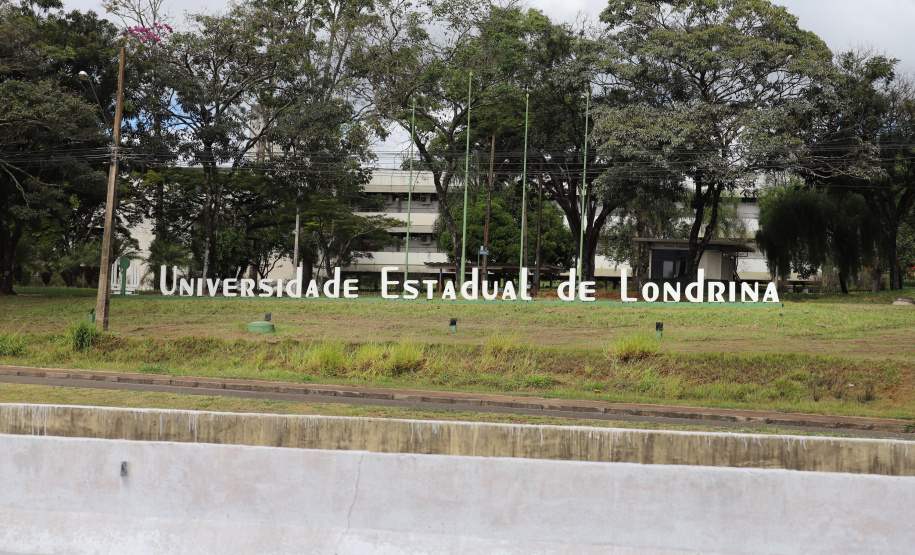 Estado apoia modernização de empreendimentos públicos de pequenos municípios
Foto: Geraldo Bubniak/AEN