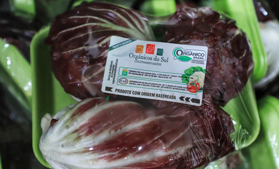 ORGÂNICOS DO SUL - Tijucas do Sul - Produtor Flavio Henrique Setim - 25/06/2021 - Foto: José Fernando Ogura/AEN