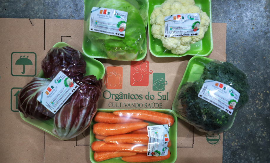 ORGÂNICOS DO SUL - Tijucas do Sul - Produtor Flavio Henrique Setim - 25/06/2021 - Foto: José Fernando Ogura/AEN