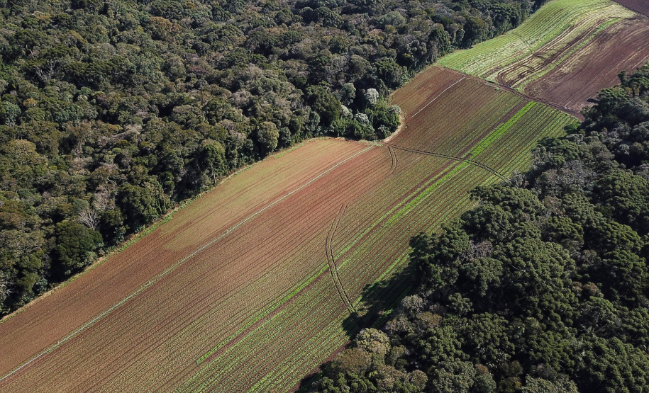 ORGÂNICOS DO SUL - Tijucas do Sul - Produtor Flavio Henrique Setim - 25/06/2021 - Foto: José Fernando Ogura/AEN