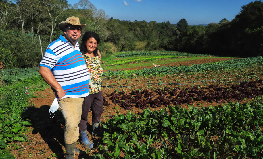 ORGÂNICOS RAIO DE SOL - Tijucas do Sul - Produtor João Camilo Valter - Na foto, João Camilo Valter e Marineia Rosa Gaudino Valter - 25/06/2021 - Foto: José Fernando Ogura/AEN