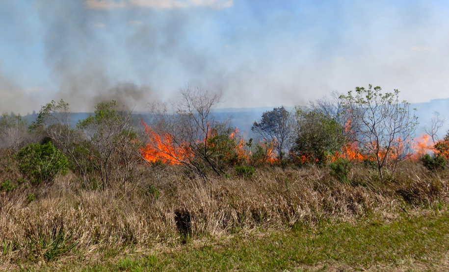 O Instituto Ambiental do Paraná (IAP) aplica novamente a técnica de manejo com fogo controlado no Parque Estadual de Vila Velha, em Ponta Grossa. Foto: Divulgação IAP