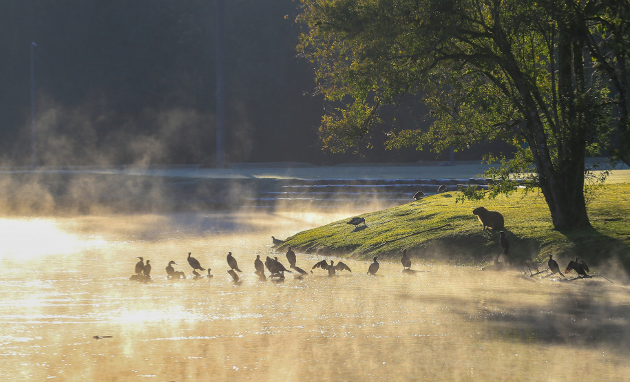 Paraná inicia semana com queda brusca nas temperaturas; 15 municípios tiveram recorde de baixas
Foto: Valdelino Pontes/AEN