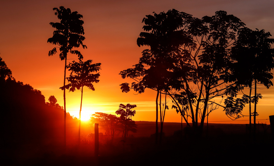 O secretário de Infraestrutura e Logística, Sandro Alex, inspeciona as obras do Trevo Gauchão e duplicação da PR-323, em Umuarama - Umuarama, 19/07/2021 - Foto: Rodrigo Félix Leal/Infraestrutura