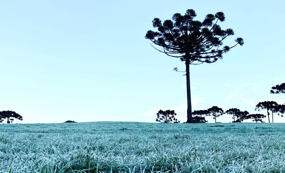 Paraná tem 16 cidades com temperaturas negativas; General Carneiro registrou -7,8ºC  Foto: Ana Tigrinho /AEN