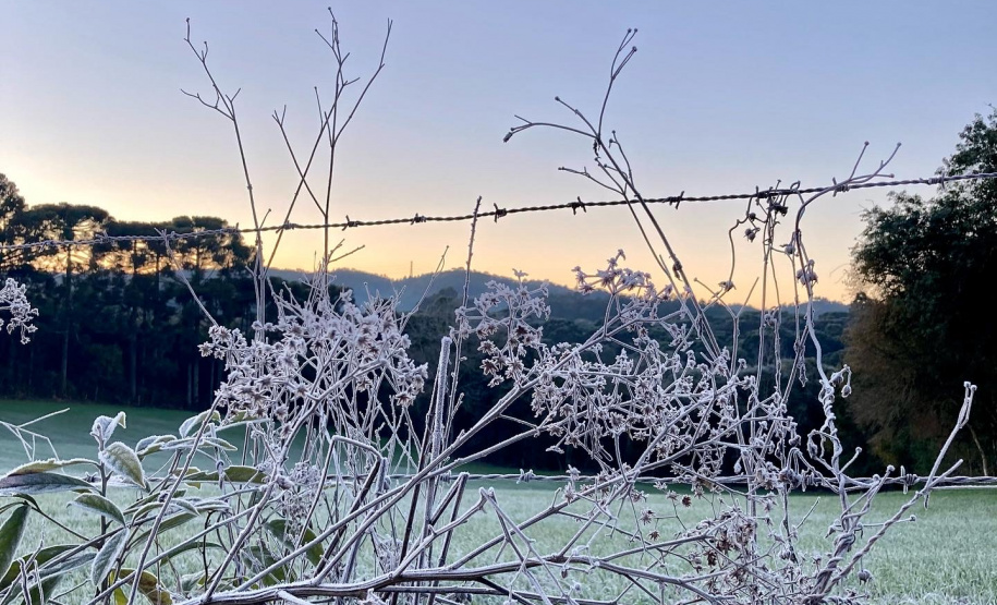 Paraná tem 16 cidades com temperaturas negativas; General Carneiro registrou -7,8ºC  Foto: Ana Tigrinho /AEN