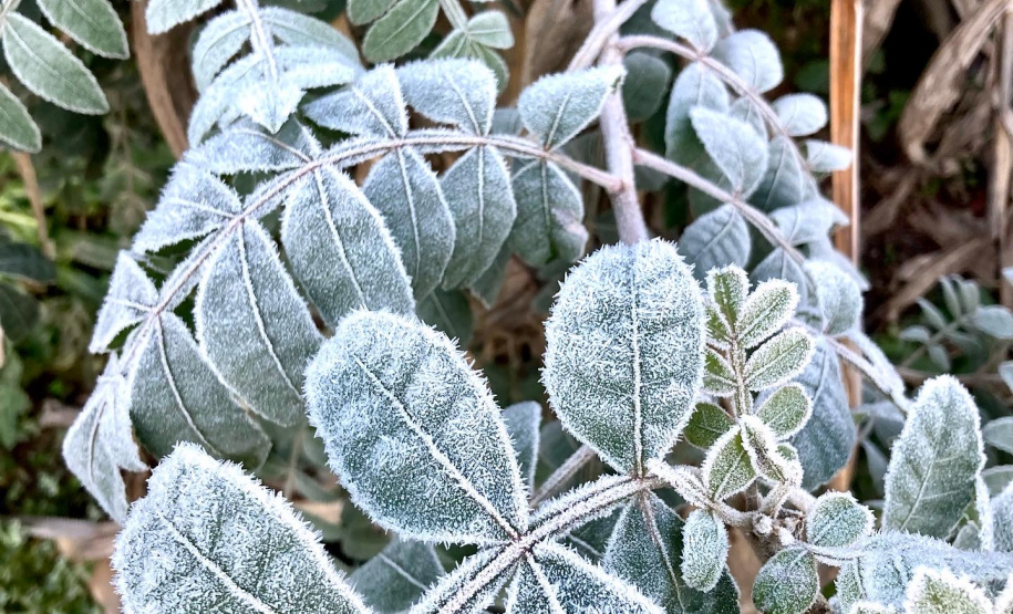 Paraná tem 16 cidades com temperaturas negativas; General Carneiro registrou -7,8ºC  Foto: Ana Tigrinho /AEN