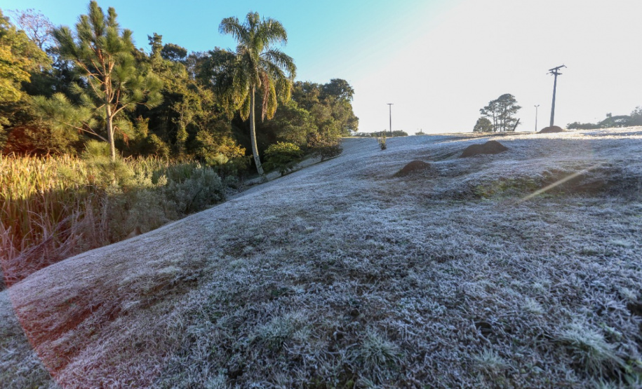 Paraná tem 16 cidades com temperaturas negativas; General Carneiro registrou -7,8ºC  Foto: Valdelino Pontes/AEN