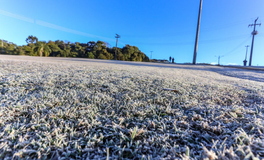 Paraná tem 16 cidades com temperaturas negativas; General Carneiro registrou -7,8ºC  Foto: Valdelino Pontes/AEN