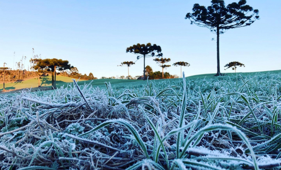 Paraná tem 16 cidades com temperaturas negativas; General Carneiro registrou -7,8ºC  Foto: Ana Tigrinho /AEN
