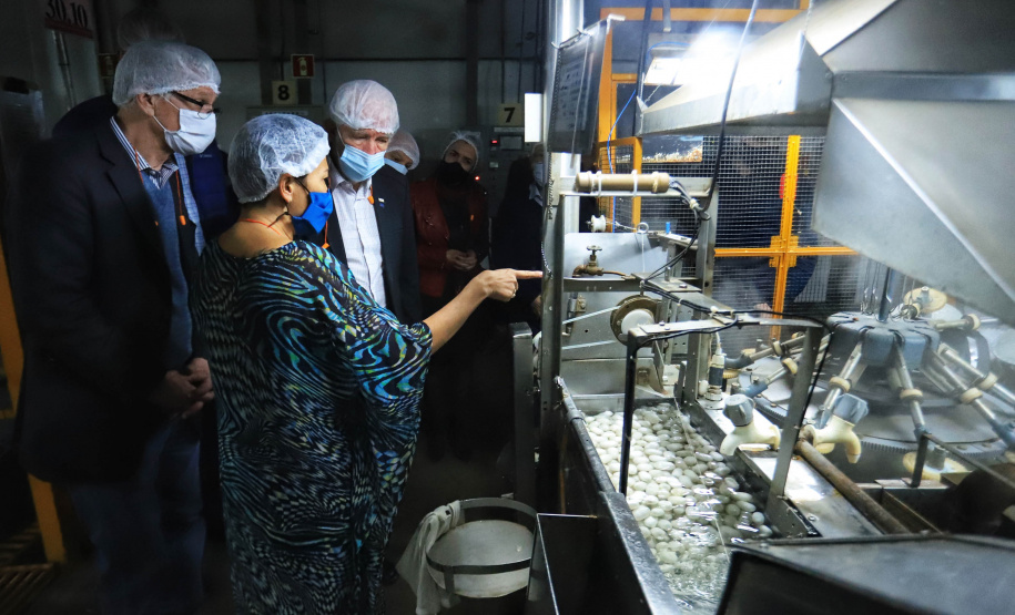 O governador em exercício Darci Piana, conheceu nesta quarta-feira (21), em Londrina, na Região Norte, as instalações da Fiação Bratac, um dos principais elos da cadeia no Estado, responsável pela produção do bicho-da-seda e do fio e também pela comercialização do produto final. - Londrina, 21/07/2021 - Foto: José Fernando Ogura/AEN