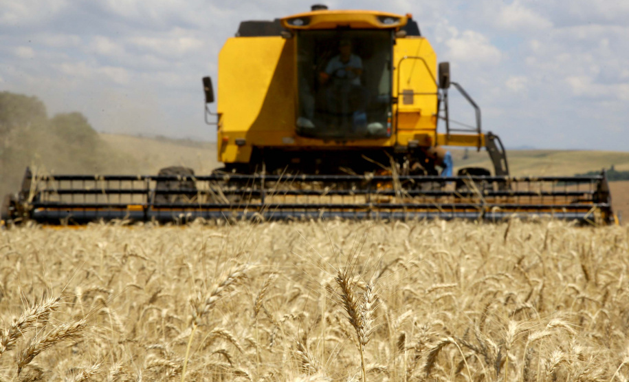 Foto: Jaelson Lucas/AEN