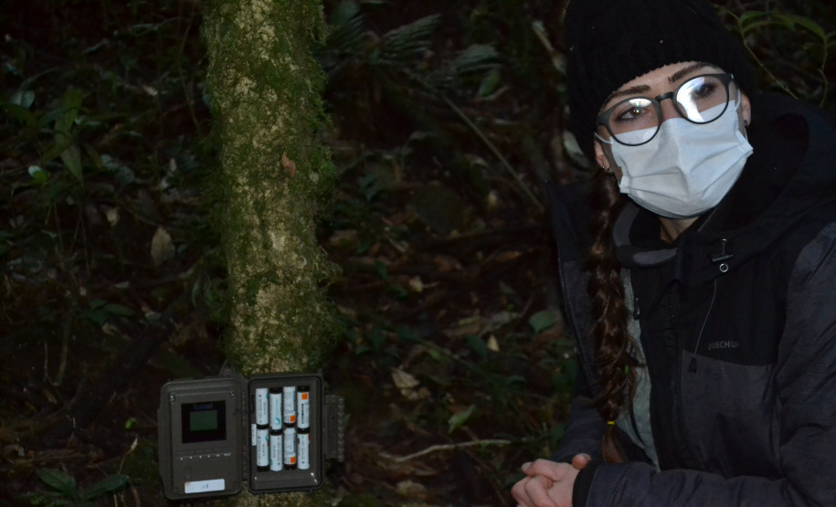 Levantamento de fauna da Serra do Mar ajuda a prever a descida dos trilhos da Nova Ferroeste
Foto: Mirella Gimenes/ Nova Ferroeste
