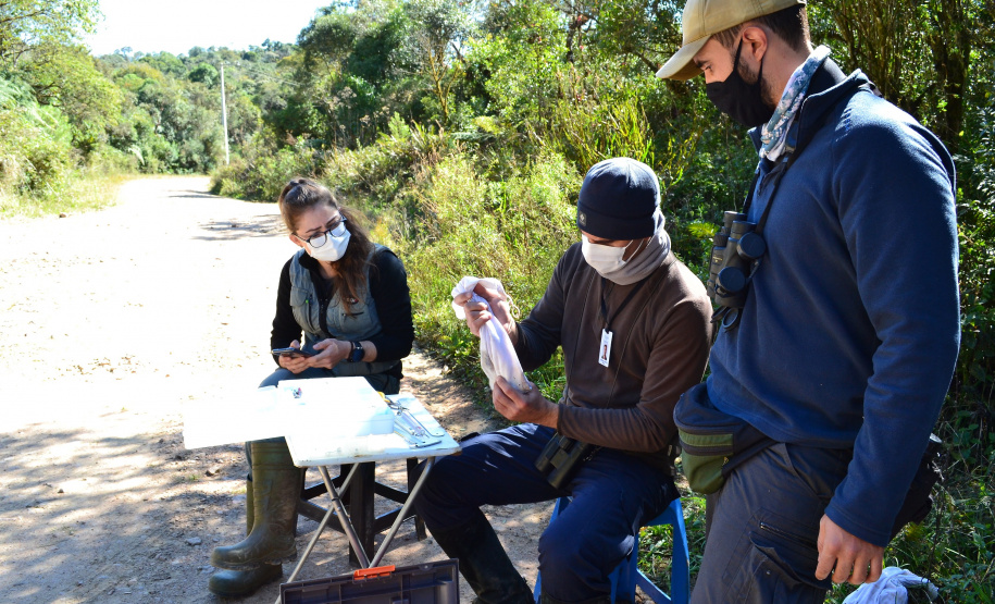 Levantamento de fauna da Serra do Mar ajuda a prever a descida dos trilhos da Nova Ferroeste
Foto: Mirella Gimenes/ Nova Ferroeste