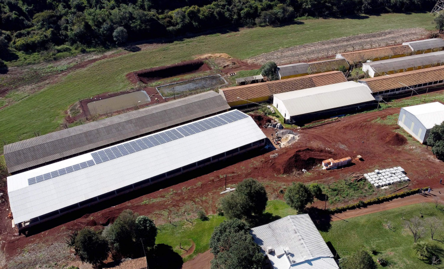 Puxado por Toledo, Paraná avança e mira novos mercados internacionais na carne suína
Foto: Ari Dias/AEN