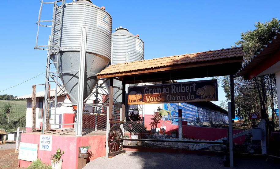 Puxado por Toledo, Paraná avança e mira novos mercados internacionais na carne suína
Foto: Ari Dias/AEN