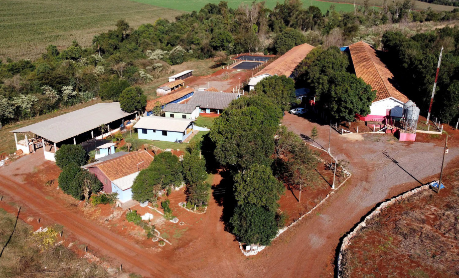 Puxado por Toledo, Paraná avança e mira novos mercados internacionais na carne suína
Foto: Ari Dias/AEN
