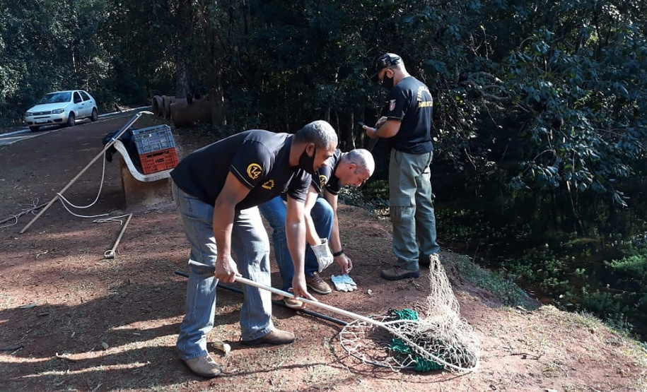 IAT resgata macaco-prego machucado em Paranavaí e alerta para o descarte de resíduos  Foto: IAT