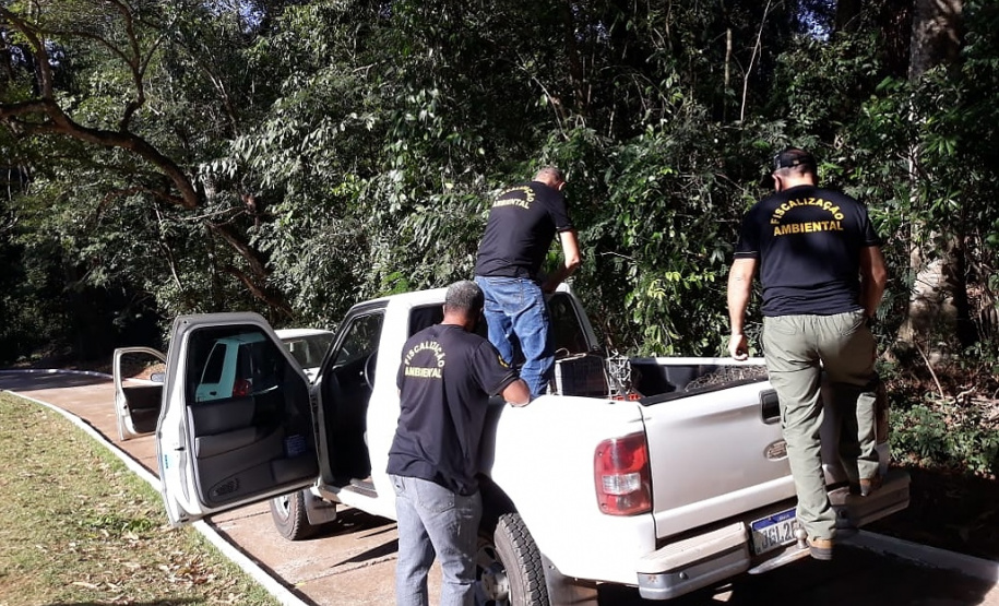 IAT resgata macaco-prego machucado em Paranavaí e alerta para o descarte de resíduos  Foto: IAT