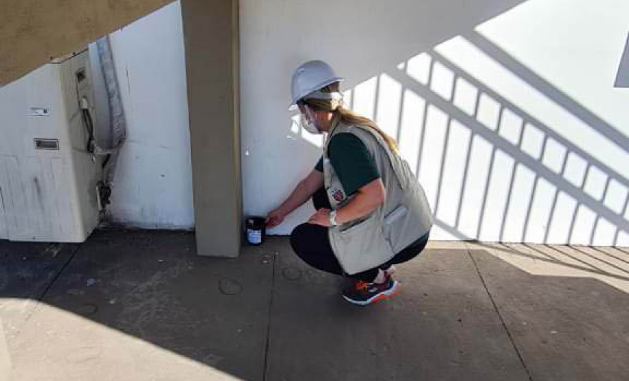 Porto de Paranaguá abre as portas para o combate à dengue