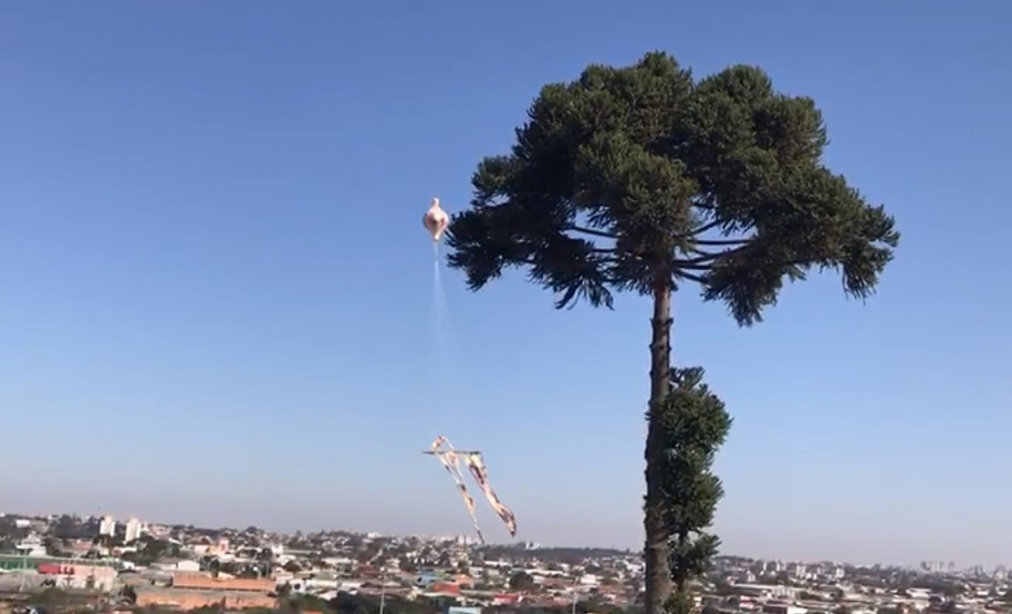 Polícia Militar apreende balão que caiu no bairro Boqueirão, em Curitiba, na manhã deste domingoFoto: Marcia Santos/SESP