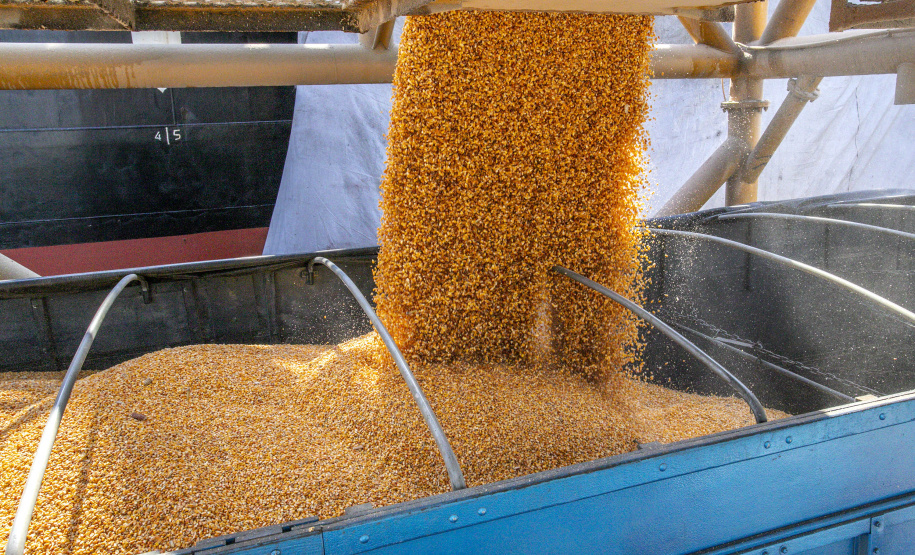 Navio programado para quarta-feira (28) vai descarregar 32 mil toneladas do cereal. Desde o início do ano, já são quatro embarcações recebidas no porto paranaense com milho importado. - Paranaguá, 27/07/2021 - Foto: Claudio Neves/Arquivo Portos do Paraná-primeira operação, em Maio/21