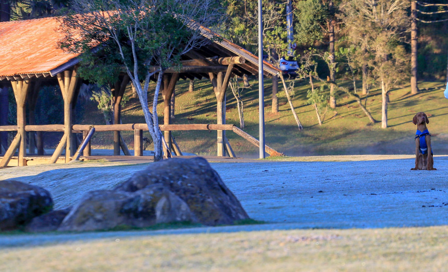 Com prioridade aos mais vulneráveis, Estado reforça apoio aos municípios na luta contra o frio. Foto: Valdelino Pontes/AEN
