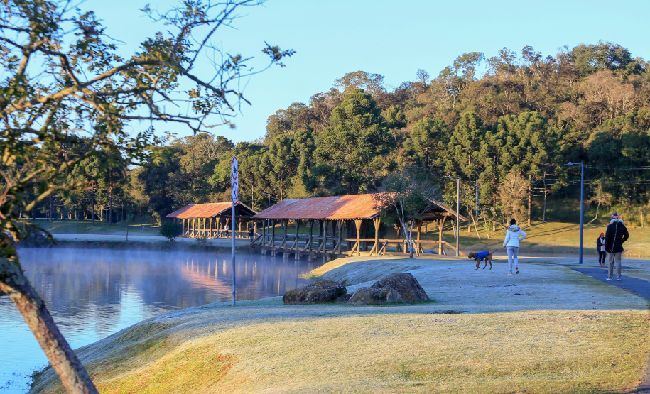 Geada Foto: Valdelino Pontes/AEN
