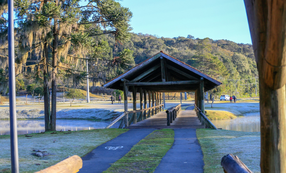 Geada Foto: Valdelino Pontes/AEN