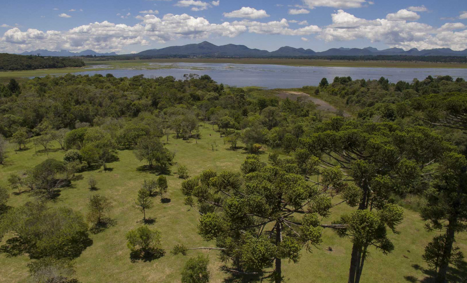 Parque das Nascentes, na Barragem do Iraí, que vai receber ações ambientais
Foto: Sanepar