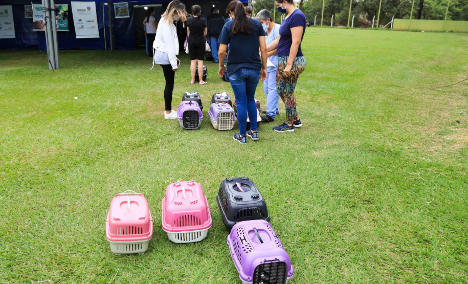 Municípios de Roncador e Iretama recebem o programa CastraPet nessa semana  -  Curitiba, 28/07/2021  -  Foto: SEDEST