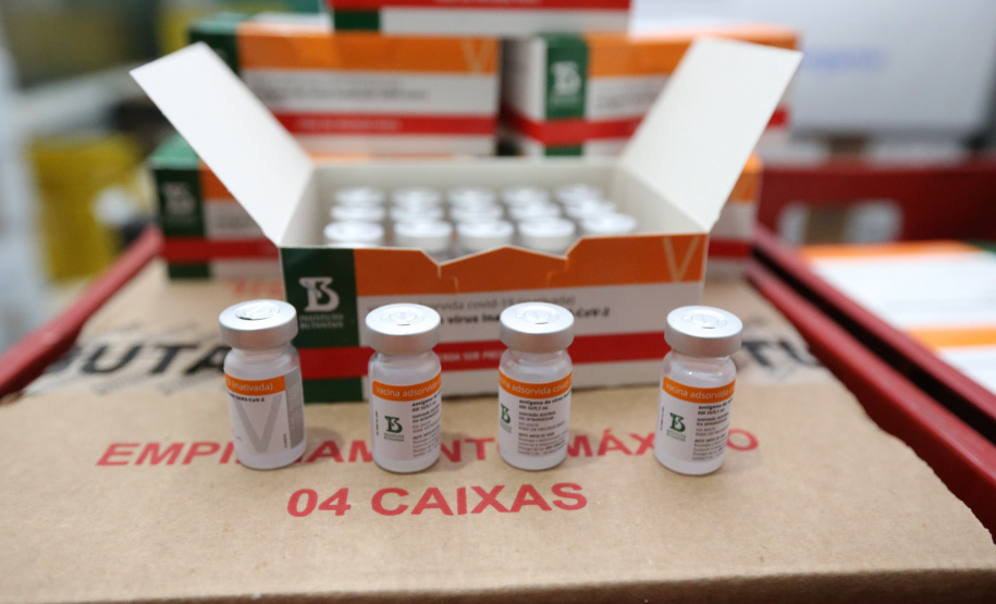 Estado começa a distribuir 85 mil vacinas contra a Covid-19 para primeira dose
Foto  Geraldo Bubniak/AEN