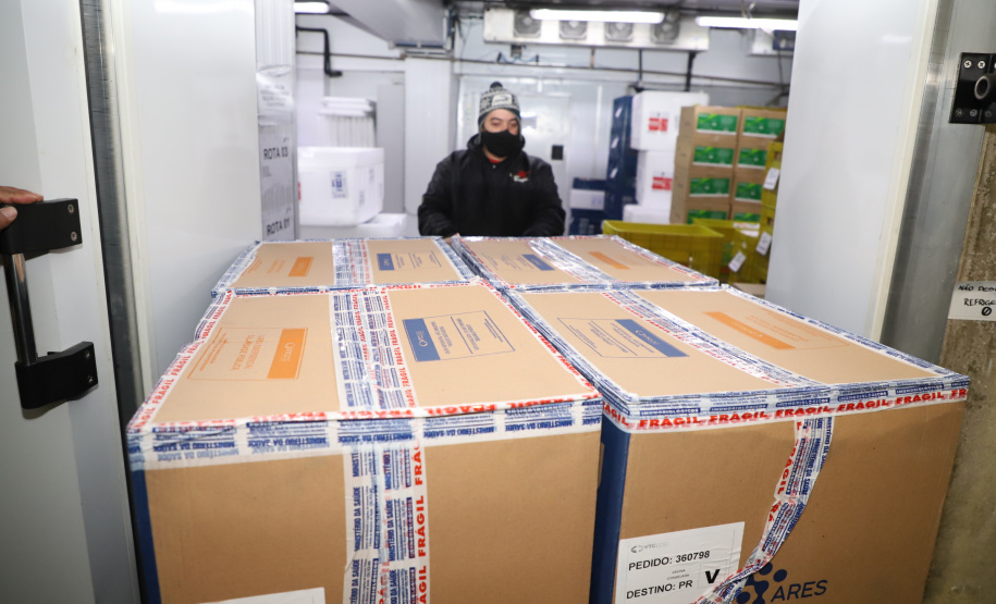 118.170 doses da Pfizer chegam ao Paraná, completando a remessa da semana. Foto: Ari Dias/AEN